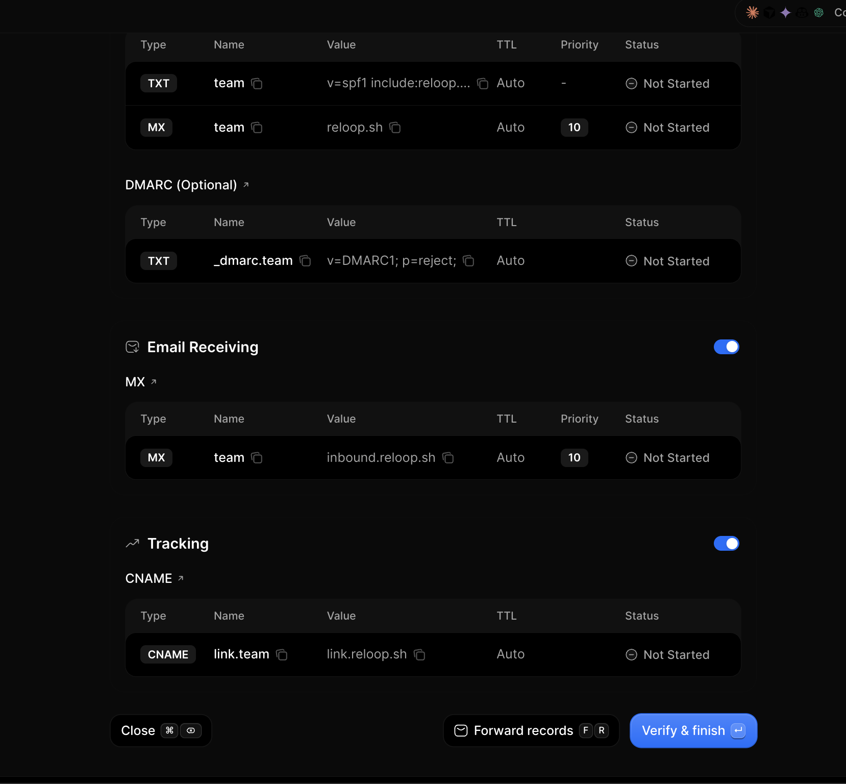 Verify DNS and finish in the Reloop dashboard